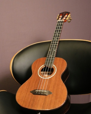 Kimo Hussey  Ukulele