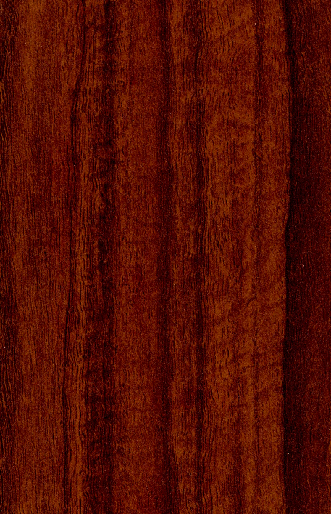 Koa Wood