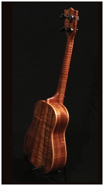 Sonny D Tenor Ukulele Costum