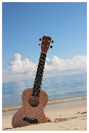 Ukulele on the Beach  Ukulele Hawaii